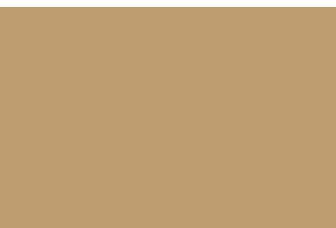 Carta Khaki