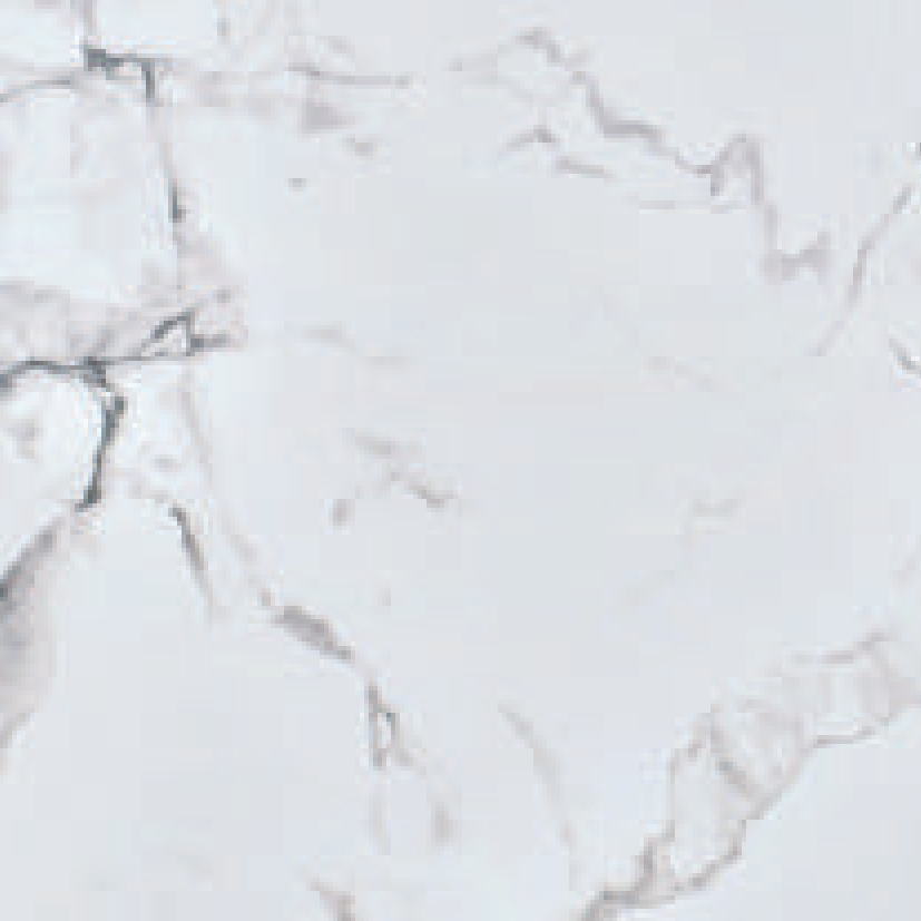 Carta White Carrera