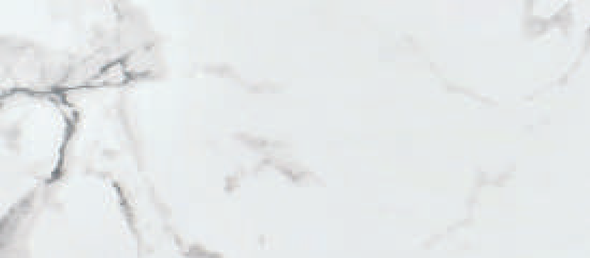 Carta White Carrera