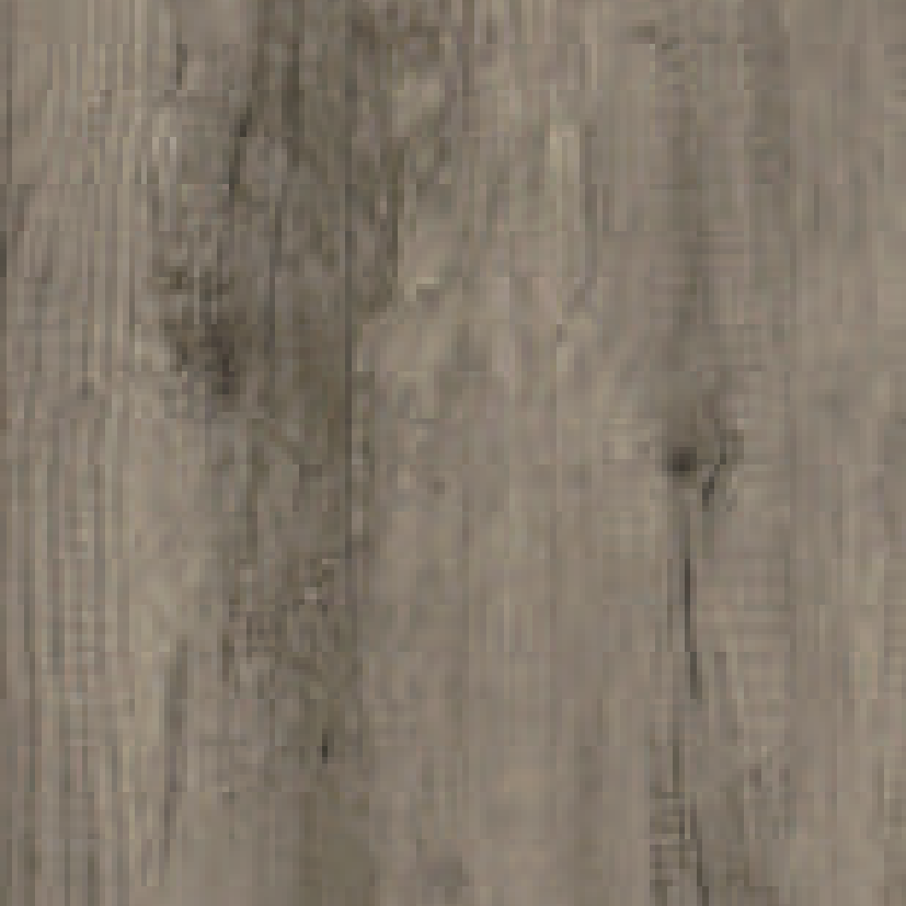 Carta Canyon Oak